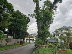 Florence Road (D19), Detached #595850631